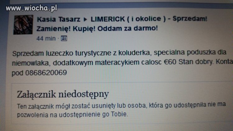 Koluderka i luzeczko co ona chce sprzedac