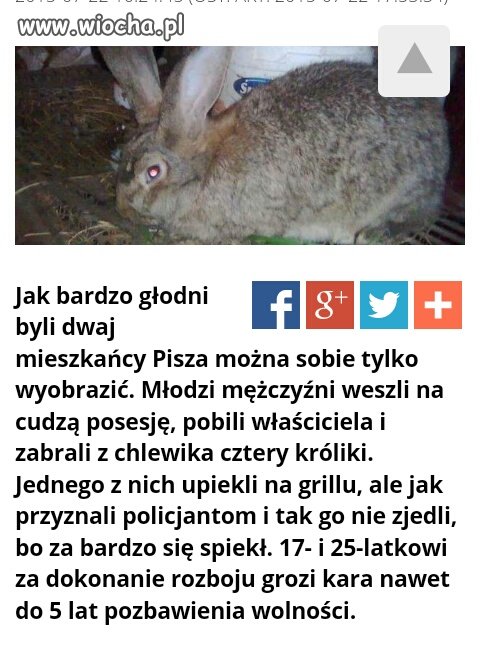 Bo byli głodni...