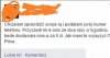 Rozgarnięta niczym samica orangutana.