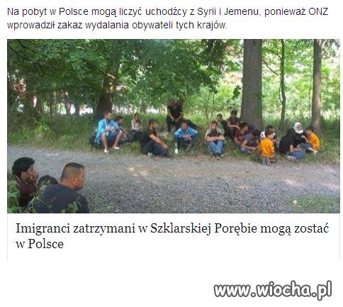 Dać im po 2000 euro, mieszkanie, adidasy