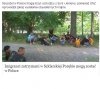 Dać im po 2000 euro, mieszkanie, adidasy