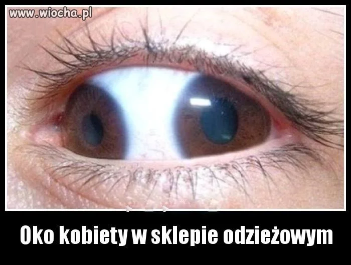 Na zakupach!