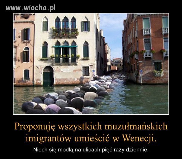Propozycja dla