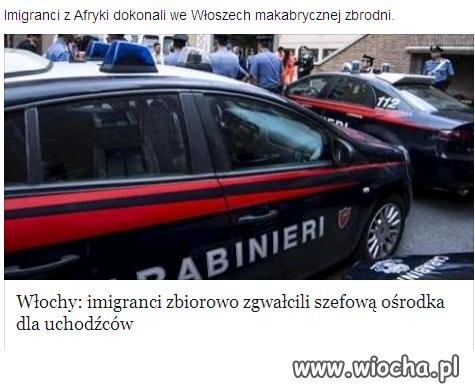 Zamknąć granice! zanim ta zaraza dojdzie do Polski