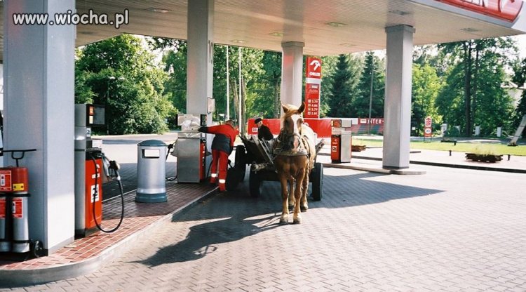 Do pełna