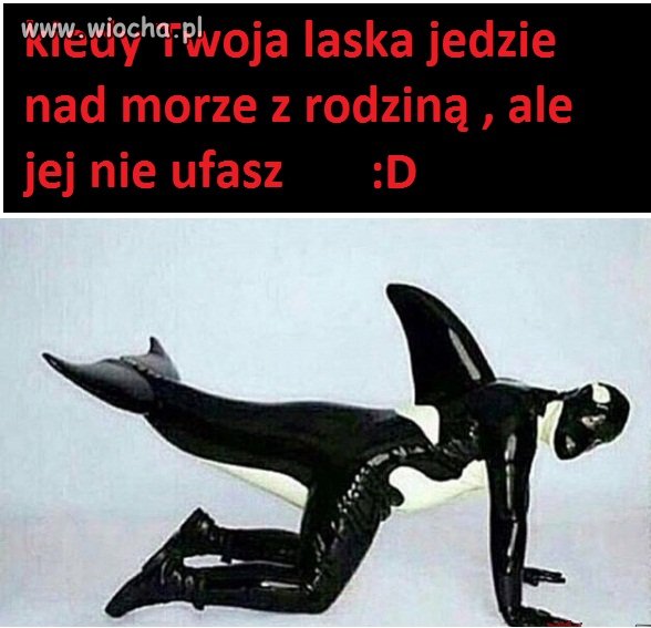 Kiedy twoja laska jedzie nad morze