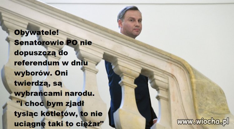Kijek między szprychy obywatelu!