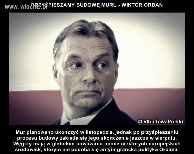 To jest Gość !