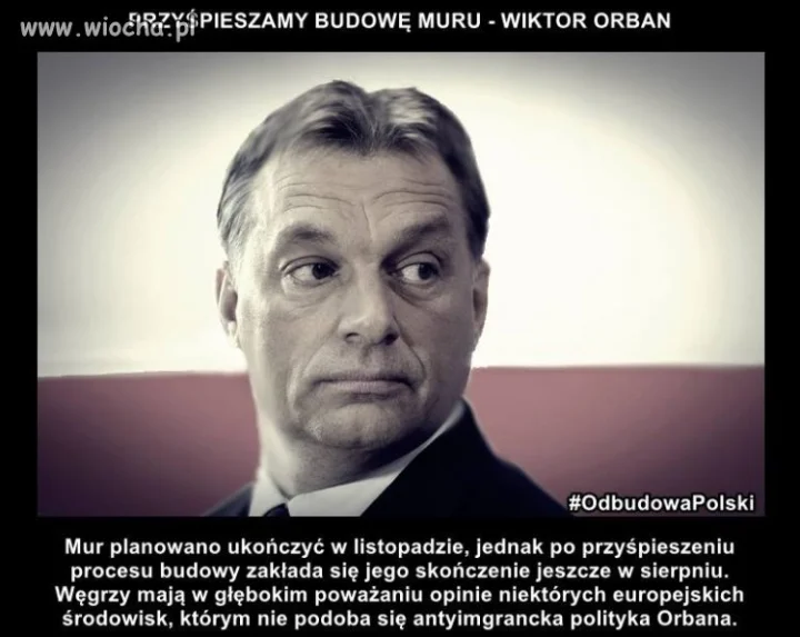 To jest Gość !