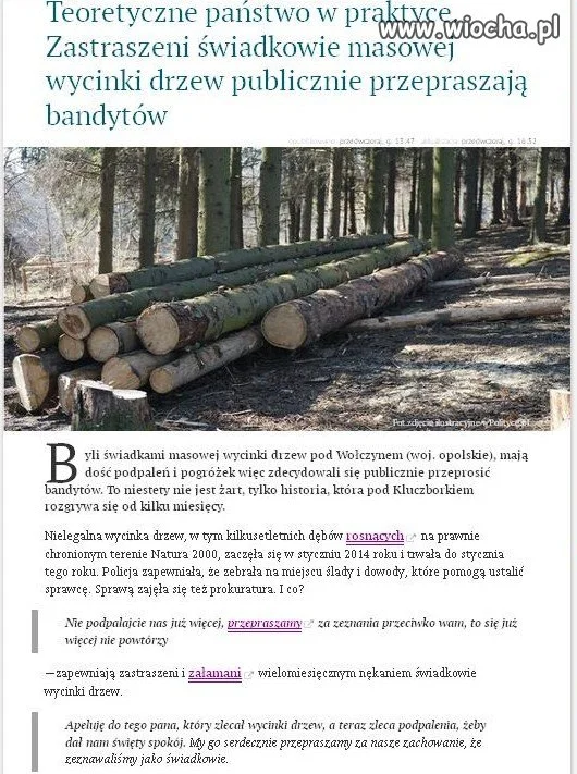 Organy ścigania