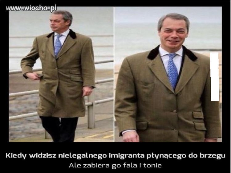 Kiedy widzisz nielegalnego imigranta...