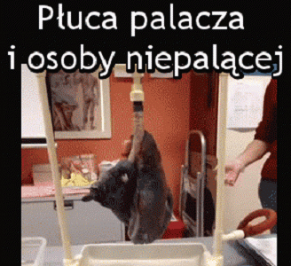 Jest różnica 