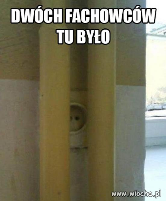 Dwóch fachowców