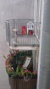 Balkon męski kontra balkon żeński