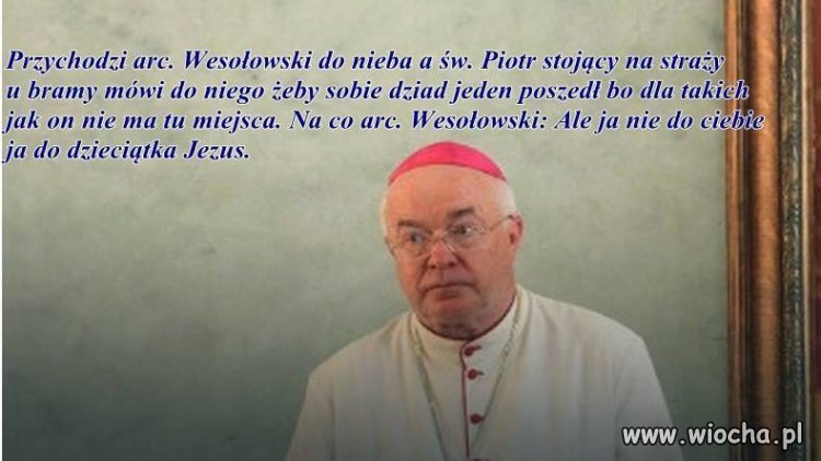 Koledzy po fachu