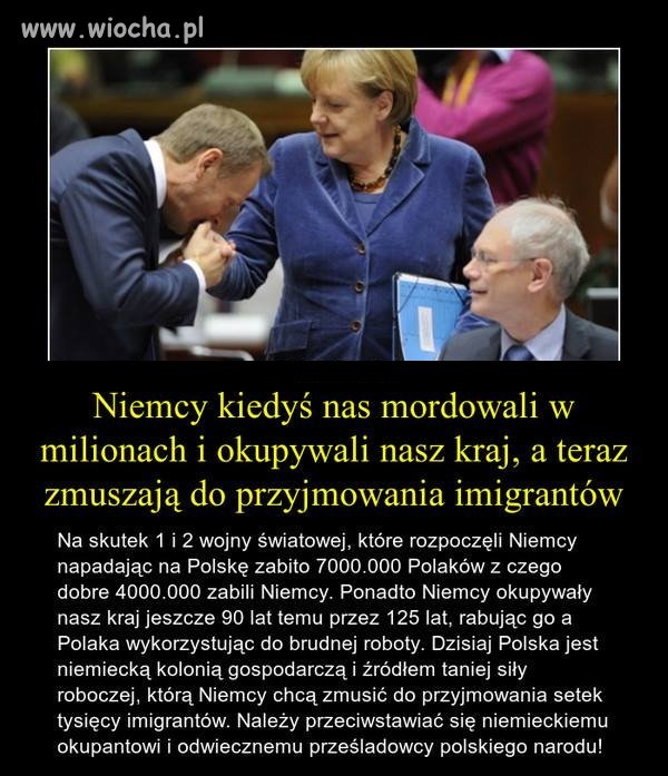 Sojusznicy?