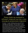 Sojusznicy?