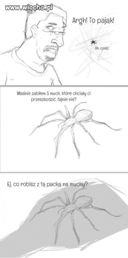 Dobry pająk