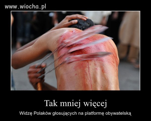 Cała prawda o zwolennikach "peło"