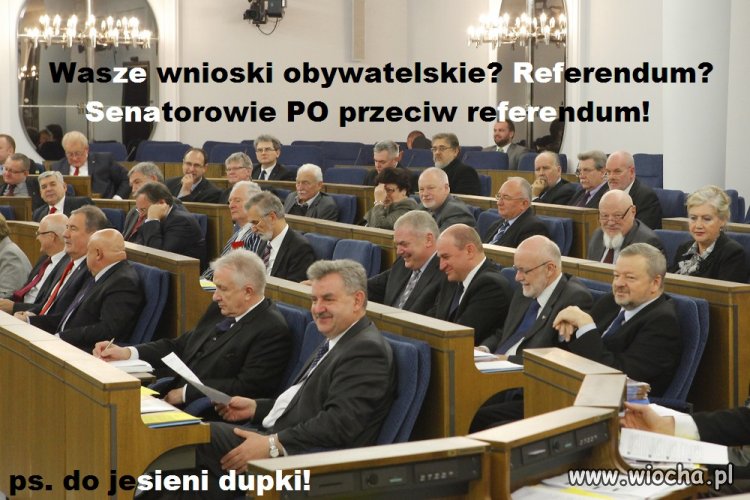 Nie ważne co chcesz, my wiemy co dla ciebie?