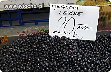 Służby ścigają przydrożnych handlarzy jagodami, a 