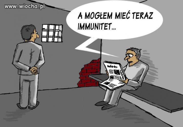 Immunitet- jesteś ponad prawem.