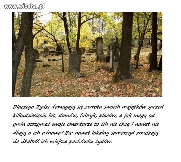 W du.ie mają swoich przodków