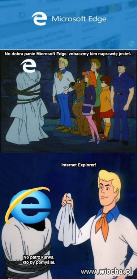 Przeglądarka firmy  Microsoft