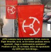 To są jakieś jaja