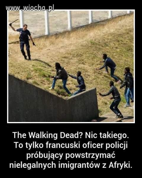Brawo !!!