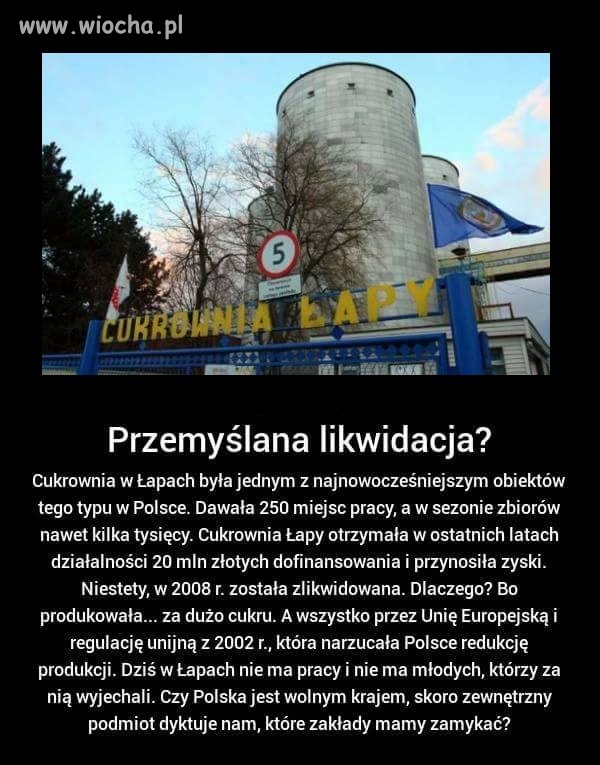 Co nam Unia dała.