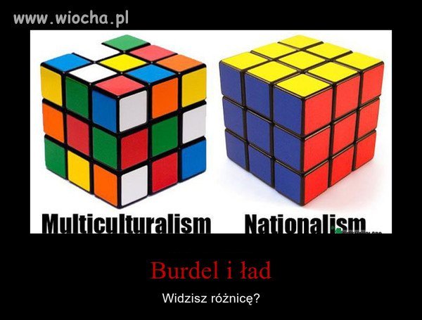 Tam gdzie imigranci-syf, kiła i mogiła