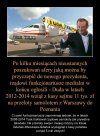 Lis - Dziennikarska prostytutka władzy 