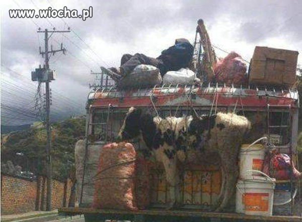 Komentarz zbędny