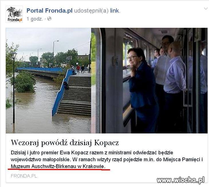 Staranne katolickie wykształcenie "redaktorów" z Frondy.