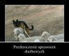 I tak się dało PO 