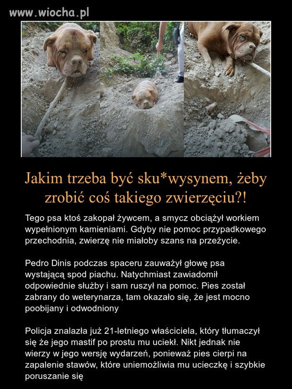 Szok!