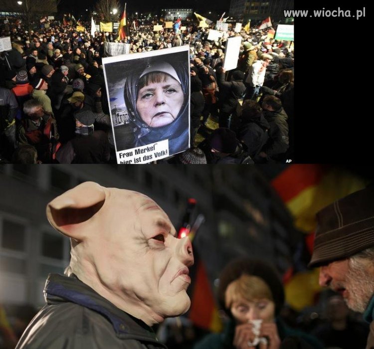 Niemcy również mają dosyć...