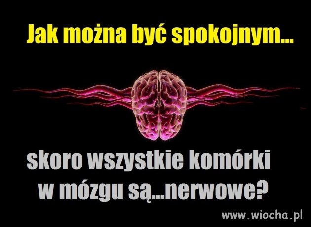 Komórki nerwowe