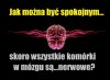 Komórki nerwowe