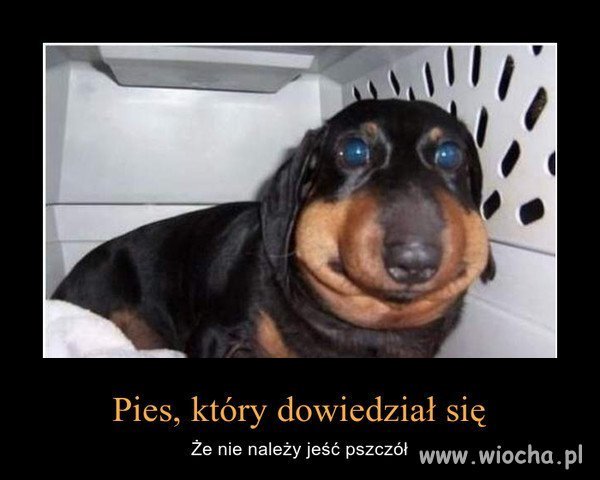 Nie należy.