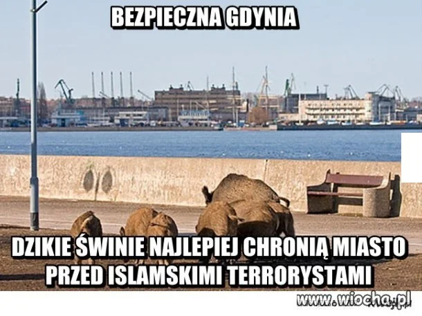 Bezpieczeństwo