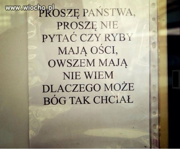 Ryby i 