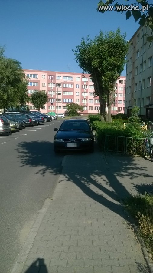 Znalazł cień w upał