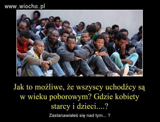 "kochani" emigranci 