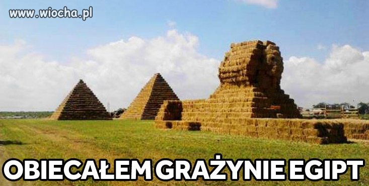 Rolniczy urlop w Egipcie. 