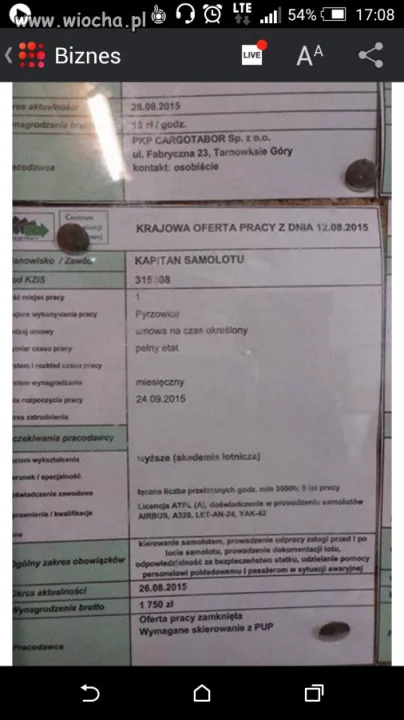 Praca - kapitan samolotu