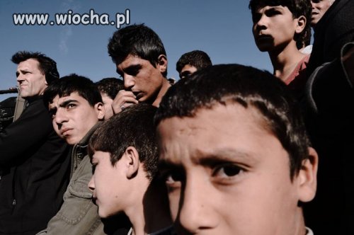 Syryjski uchodźca: W Polsce głodujemy.