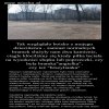 To były ...