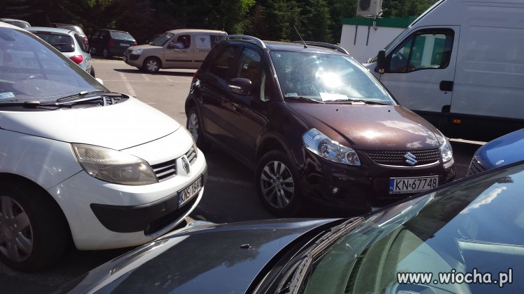 Mistrz parkowania